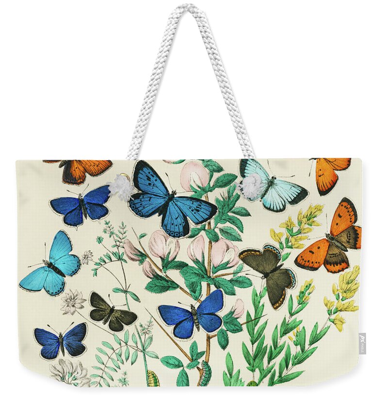 Butterflies on Flowers Weekender Bag 